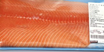 코로나 바이러스, 냉장 연어 표면에 최장 1주일 생존