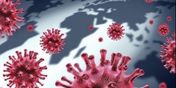 9월 6일자 텍사스 코로나 현황