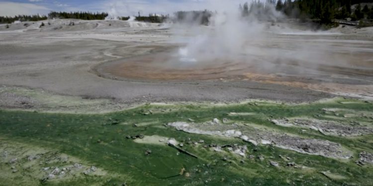 3살 소년, 엘로스톤 국립공원 온천수 빠져 2도 화상