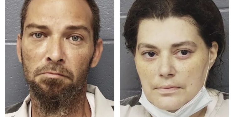 ‘이’ 에 물려 사망한 12세 소녀 … “‘이’의 흡혈로 인한 심장마비”