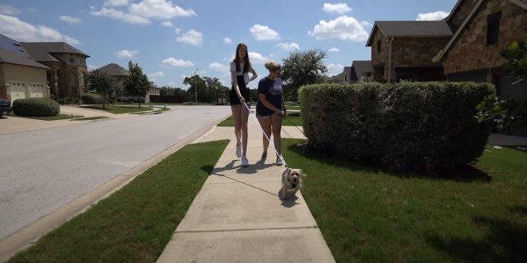 텍사스 17세 소녀, ‘세상에서 가장 긴 다리를 가진 여성’ 기네스북 올라