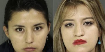 또 불법 술집, 손님 200명 모아놓고 술과 도박판