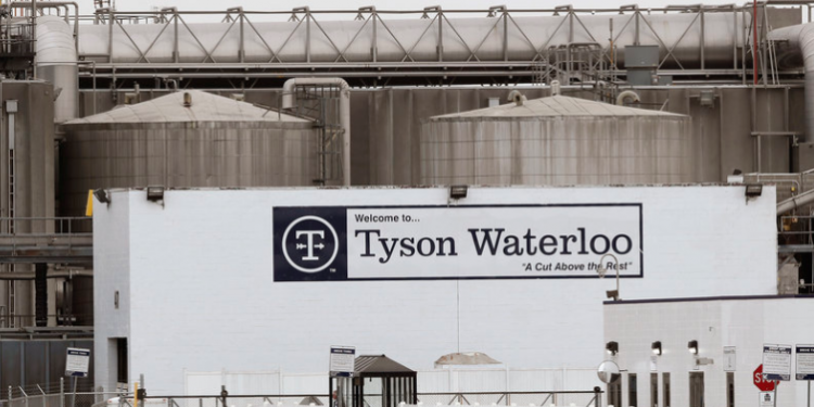 타이슨 푸드, 코로나19 감염으로 ‘판돈 건 도박’ 매니저 7명 해고