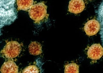 달라스, 코로나 변이바이러스 감염 의심환자 발생 … “해외여행기록 없어”