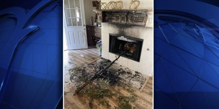 크리스마스 트리를 벽난로에 태워 없애려다 … ‘소방차 출동’