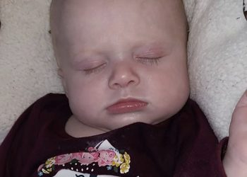 생후 4개월 아기, 반려견에 짓눌려 돌연사