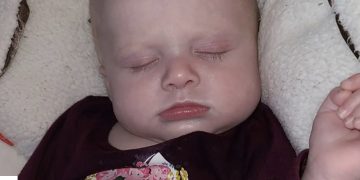 생후 4개월 아기, 반려견에 짓눌려 돌연사