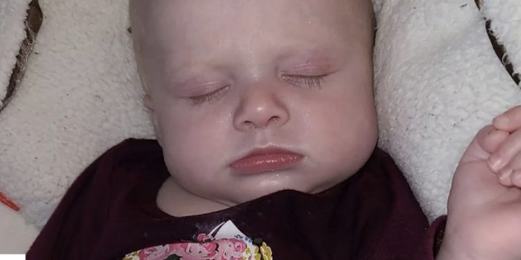 생후 4개월 아기, 반려견에 짓눌려 돌연사