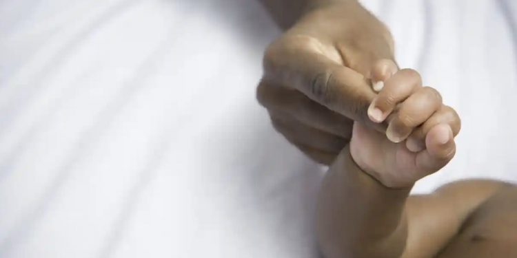 [미국] “불법 이민자 신생아들, 미국에서 태어났지만 출생증명서 없이 추방됐다”