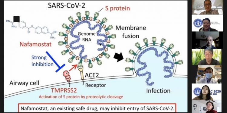 “백신은 어떤 원리로 코로나바이러스로부터 인체를 보호하는가? ”