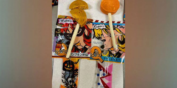 생고기 함유 애완견 간식, DFW 공항에서 적발 … “전량폐기”