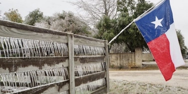지난 2월 텍사스 겨울폭풍으로 총 125명 사망 … ‘보건당국 최종집계’