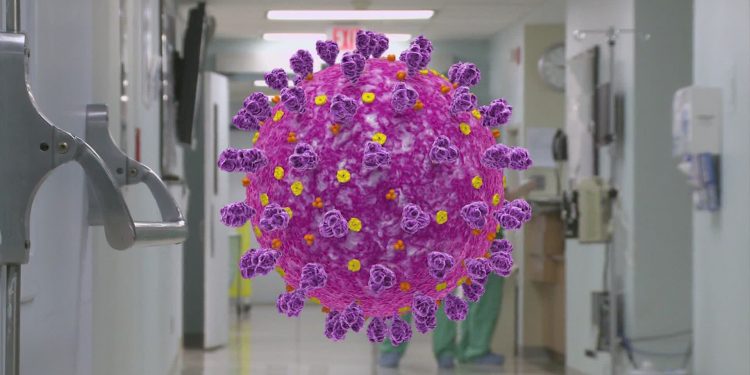 미국에서도 인도발 변이 바이러스 확산 … 보건 전문가들, 백신 강조