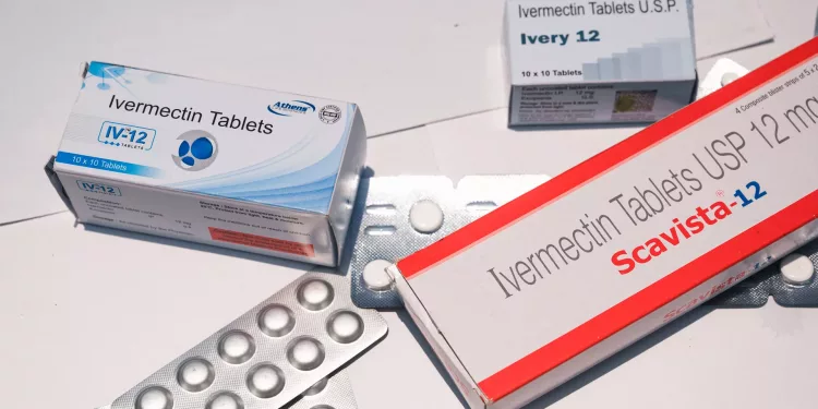 반려견 심장사상충 약 동났다 … “코로나 예방된다는 헛소문 때문”