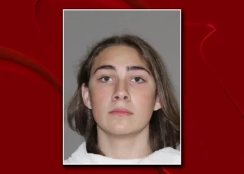 신생아를 선풍기 돌아가는 천장에 수차례 던진 17세 생부 … “끔찍한 살인”