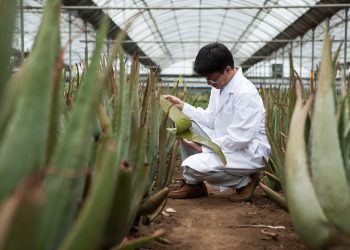 북미에서 인기 고공행진 천연성분 ‘K-뷰티’ … “아시아계 소비자들 ‘엄지 척’”