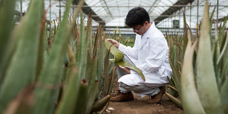 북미에서 인기 고공행진 천연성분 ‘K-뷰티’ … “아시아계 소비자들 ‘엄지 척’”