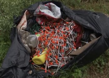 오스틴 주택가 인근에서 의료용 폐기물 주사기 무더기 발견