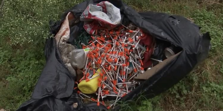 오스틴 주택가 인근에서 의료용 폐기물 주사기 무더기 발견