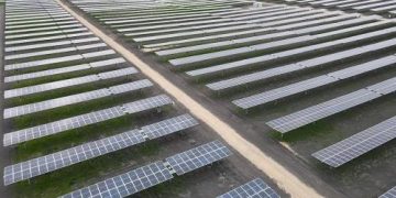 한화큐셀, 텍사스에 168메가와트 태양광 발전소 준공