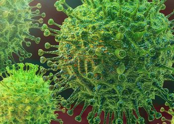 “코로나 감염자에게 식료품점 물건 핥게 했다” 거짓 유포자 … 법정구속