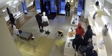 [영상] 시카고 루이비통 매장, 14명 떼강도 ‘싹쓸이’