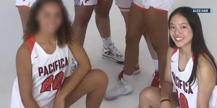 여자 청소년 농구경기 중 한국계 학생 폭행당해 … “가슴과 목 가격, 뇌진탕”