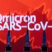 오미크론, 미국에도 상륙 … “캘리포니아에서 첫 확진 사례 보고”