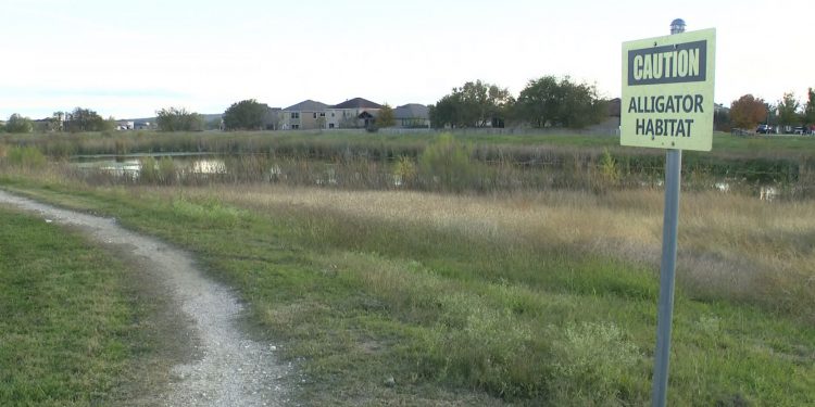 오스틴 주택가에서 악어 3마리 출몰, 반려견 죽은 채 발견