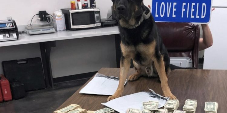 달라스 러브필드 공항 수화물에서 발견된 현금 ‘10만달러’