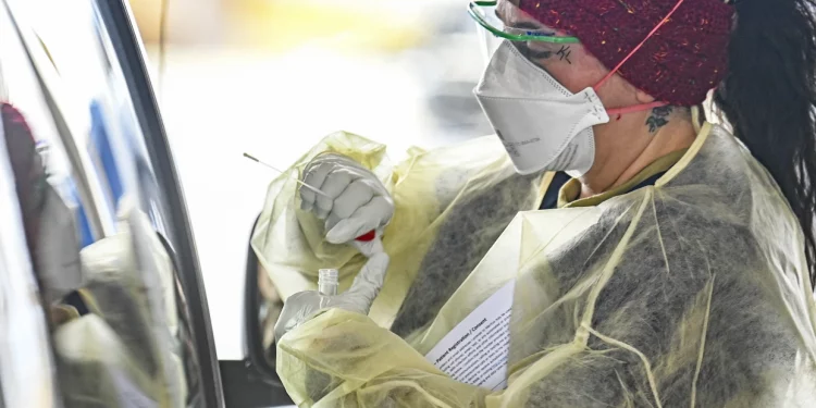 텍사스, 오미크론 하위변이(BA.2) 감염사례 증가