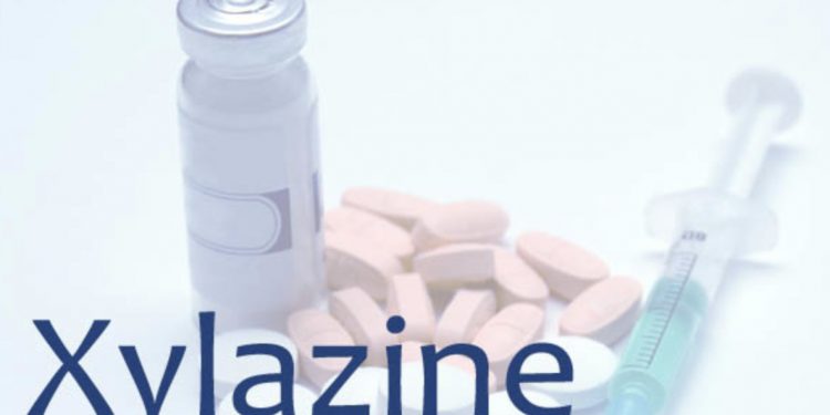 좀비마약, 동물진통제 자일라진 과다복용 사망 증가