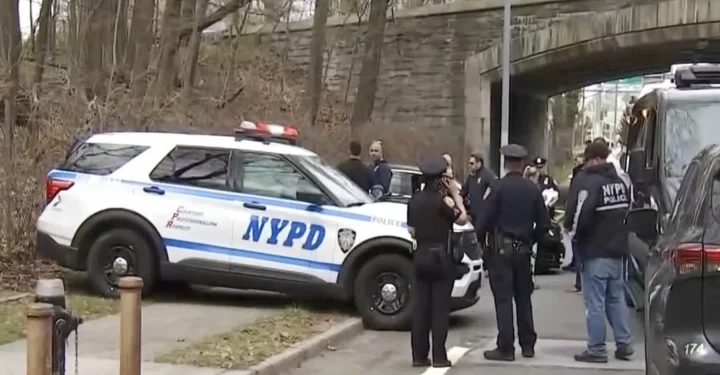 뉴욕 경찰, 퀸즈에서 58차례나 칼려 찔린 시신 발견
