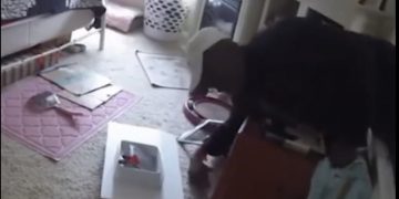 빈집 침입 후 라면먹고 샤워에 빨래까지, 세면도구 훔쳐 달아난 ‘좀도둑’