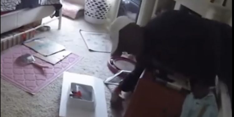 빈집 침입 후 라면먹고 샤워에 빨래까지, 세면도구 훔쳐 달아난 ‘좀도둑’