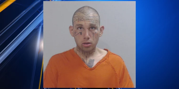 텍사스 남성, 신종마약 해외직구하다 세관적발