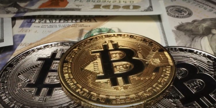 비트코인 ‘또’ 급락 … 지난 11월 대비 ‘반토막’