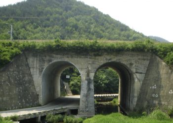 “노근리 사건 유족이라면 지금 유족신청하세요”