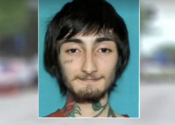 독립기념일 퍼레이드 총격난사, 6명 사망 30여명 부상