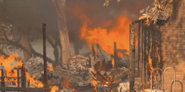 텍사스 폭염에 가뭄, 결국 산불 확산