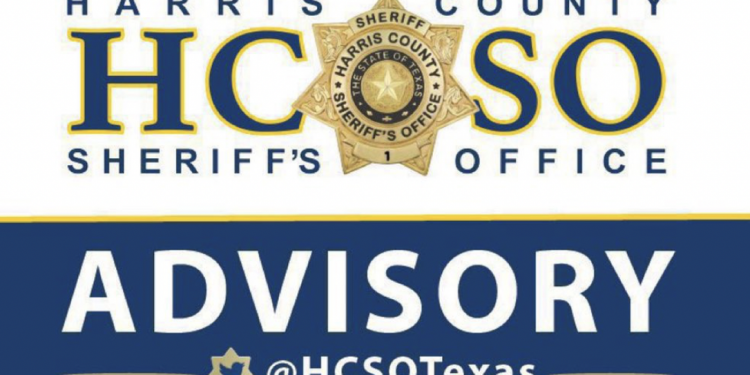 쫒아오는 개를 피해 달리던 소년, 차에 치여 사망