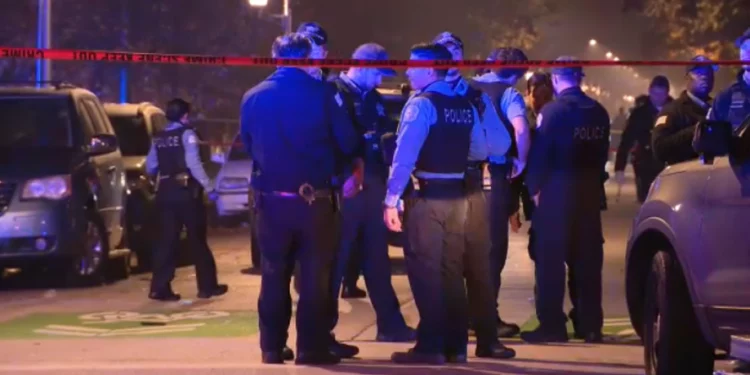 시카고에서 할로윈 총격난사 …  어린이 포함 14명 부상