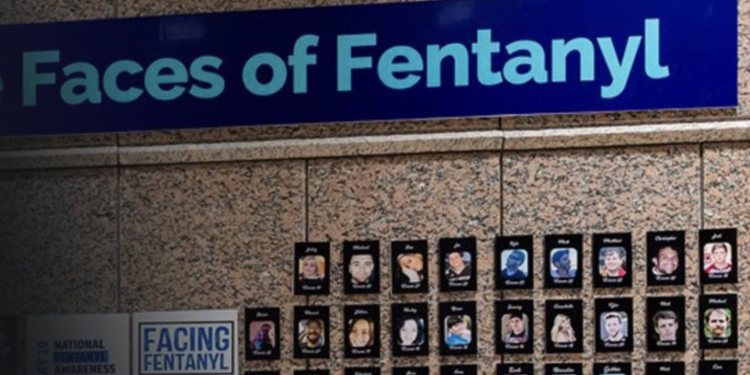 오스틴-트레비스 카운티 펜타닐 과다복용 사망자 급증