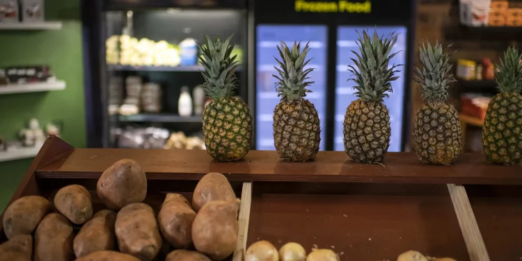 텍사스 농무부, 기후변화가 텍사스 식량공급 위협