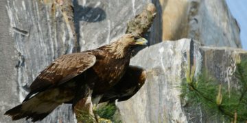 정전70주년 기념  ‘비무장지대’ 사진 공개 … 미 언론도 주목