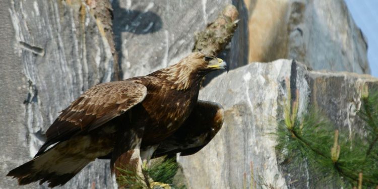 정전70주년 기념  ‘비무장지대’ 사진 공개 … 미 언론도 주목