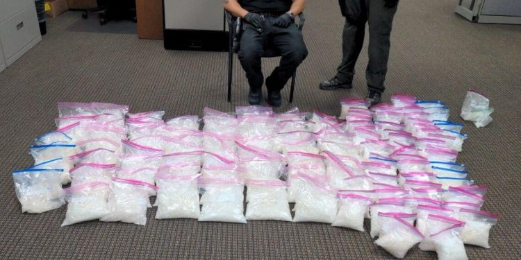 캐롤튼, 펜타닐 피해학생 9명 모두 히스패닉계