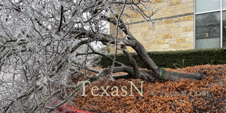 [사진] 얼음의 무게