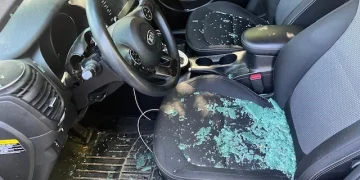 도난방지 기능없는 현대-기아차 모델, 무료 소프트웨어 업데이트