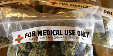 텍사스, 의료용 마리화나 접근확대 … “만성통증 환자도 포함”